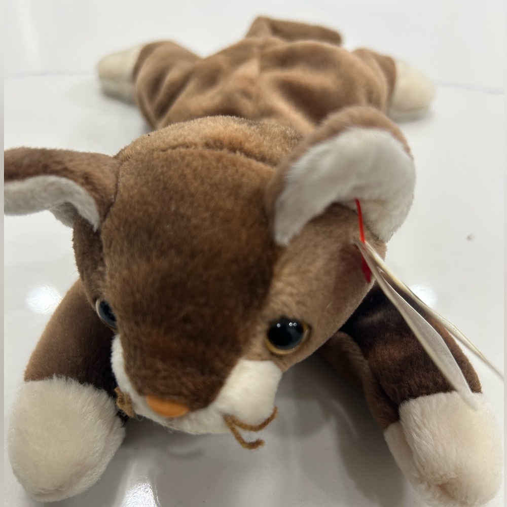 Rare Beanie Babie Pounce with tag errors and stamped tush tag